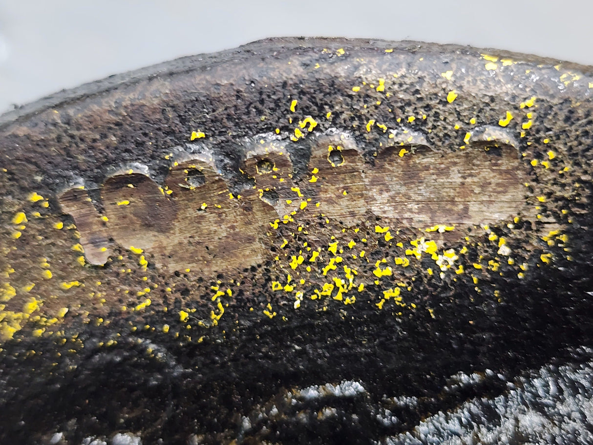 Cummins N14/855 Accessory Drive 1098808 For Sale