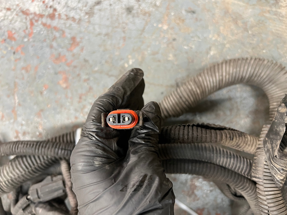 2005 Freightliner Columbia 120 Wiring Harness, FIREWALL TO ECM