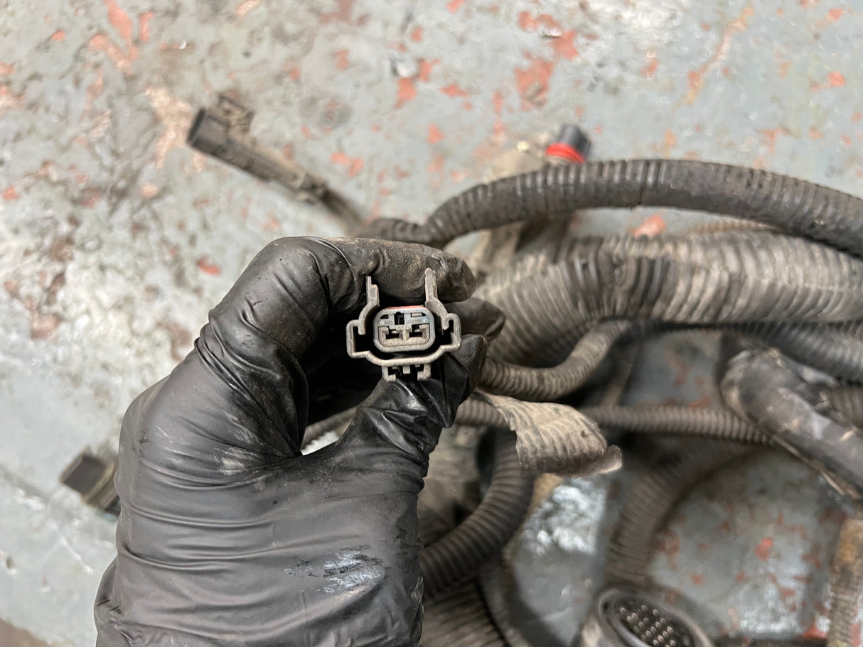 2005 Freightliner Columbia 120 Wiring Harness, FIREWALL TO ECM