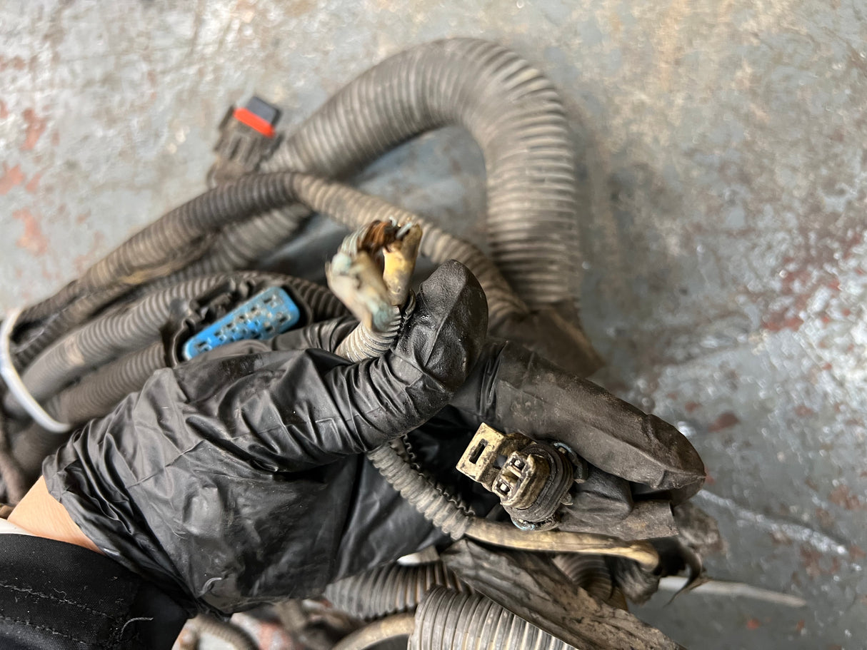 2005 Freightliner Columbia 120 Wiring Harness, FIREWALL TO ECM