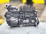 927 Bosch International DT466E PES6P100A320LS3306 Fuel Injection Pump For Sale