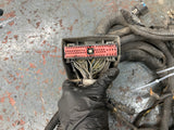 2005 Freightliner Columbia 120 Wiring Harness, FIREWALL TO ECM